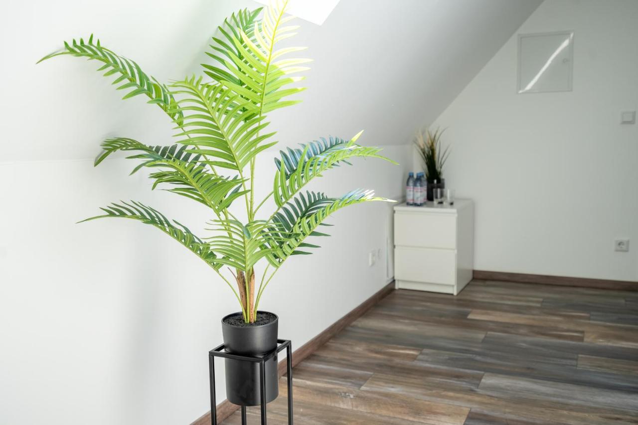 Xxl Superior Apartment 1 - 10 Personen Кастроп-Рауксел Екстериор снимка